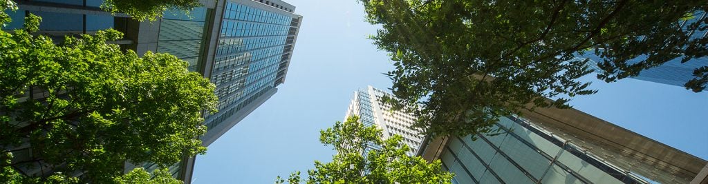 Ground-up view of office blocks and trees