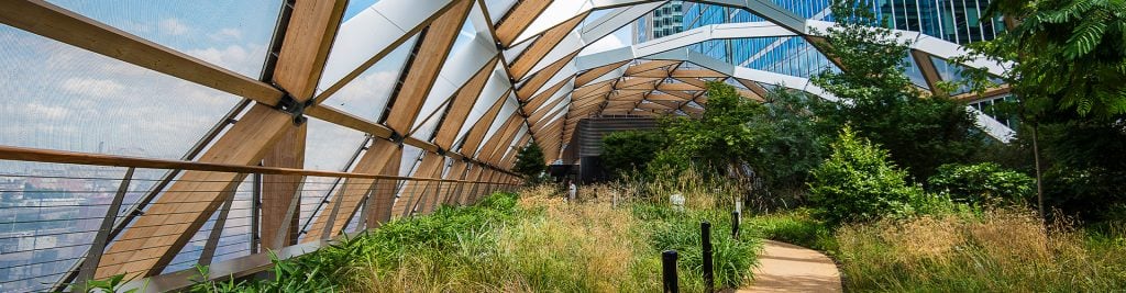 Open air urban garden with office blocks behind